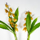 Cyc. Jumbo Cooper